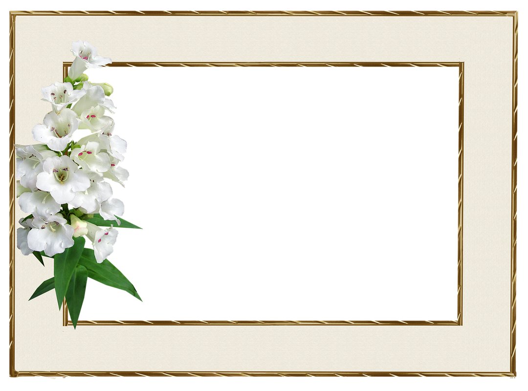 Tech News Feedworldtech