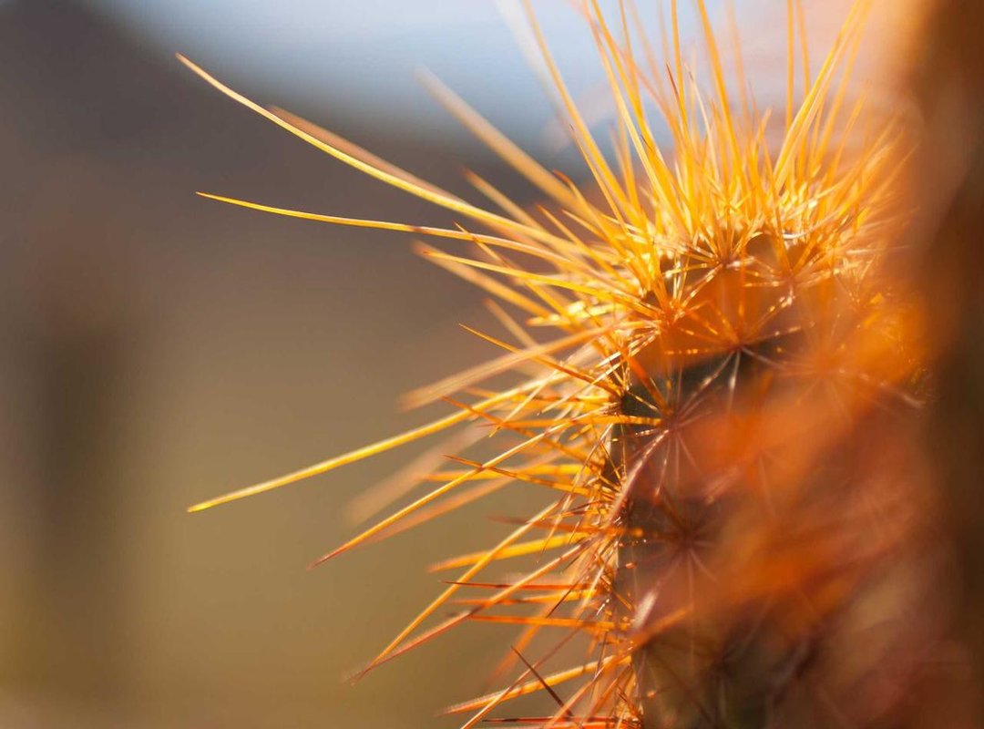 Quick Reference: Common Height Conversions at a Glance