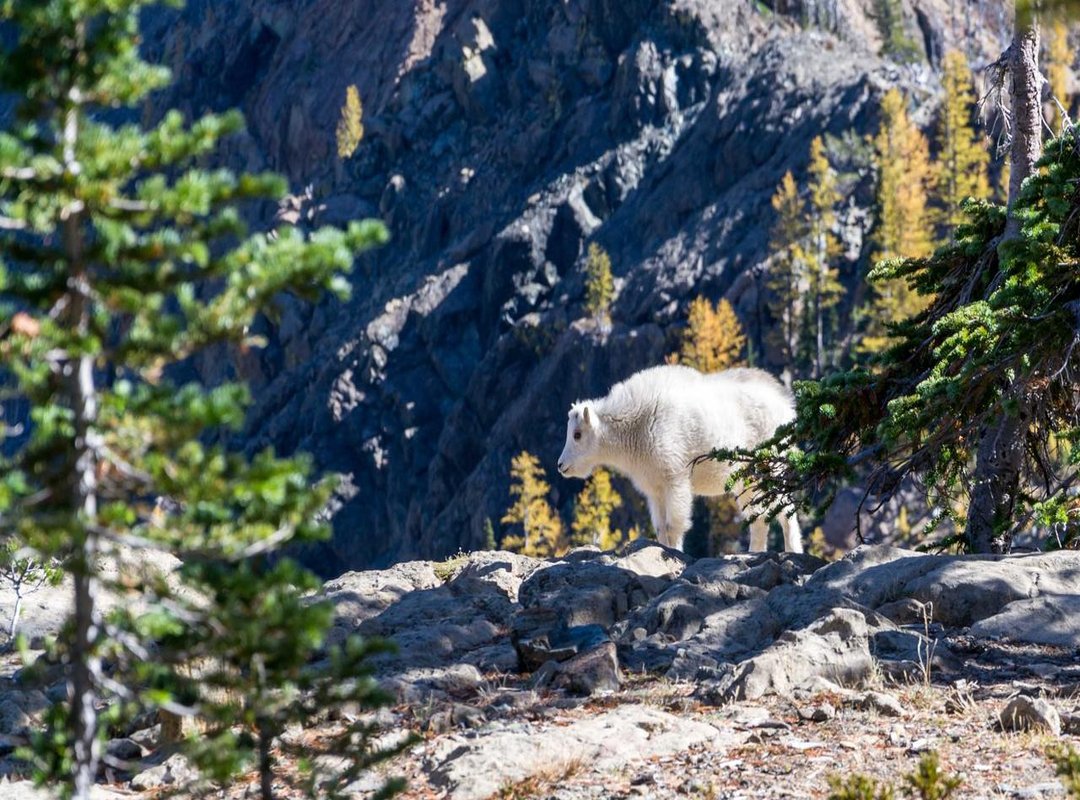 From Page to Screen: The 'After' Book Series Order