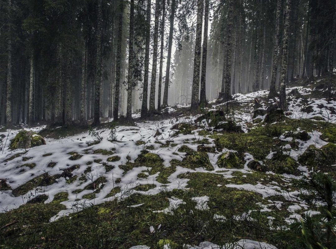 Your Practical Countdown Checklist: How to Prepare for Diwali