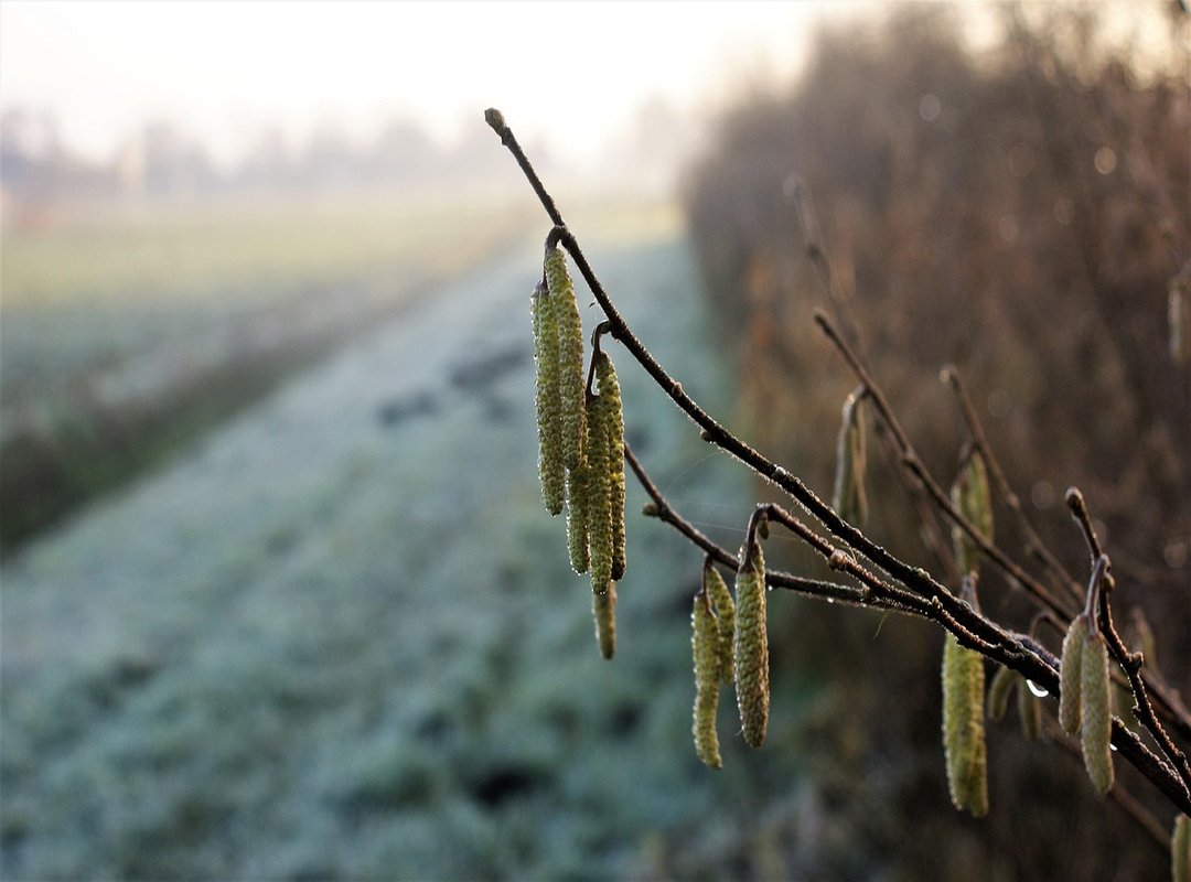 Popular Applications You Can Find