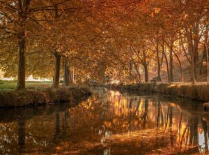 karseell collagen chile precio cruz verde