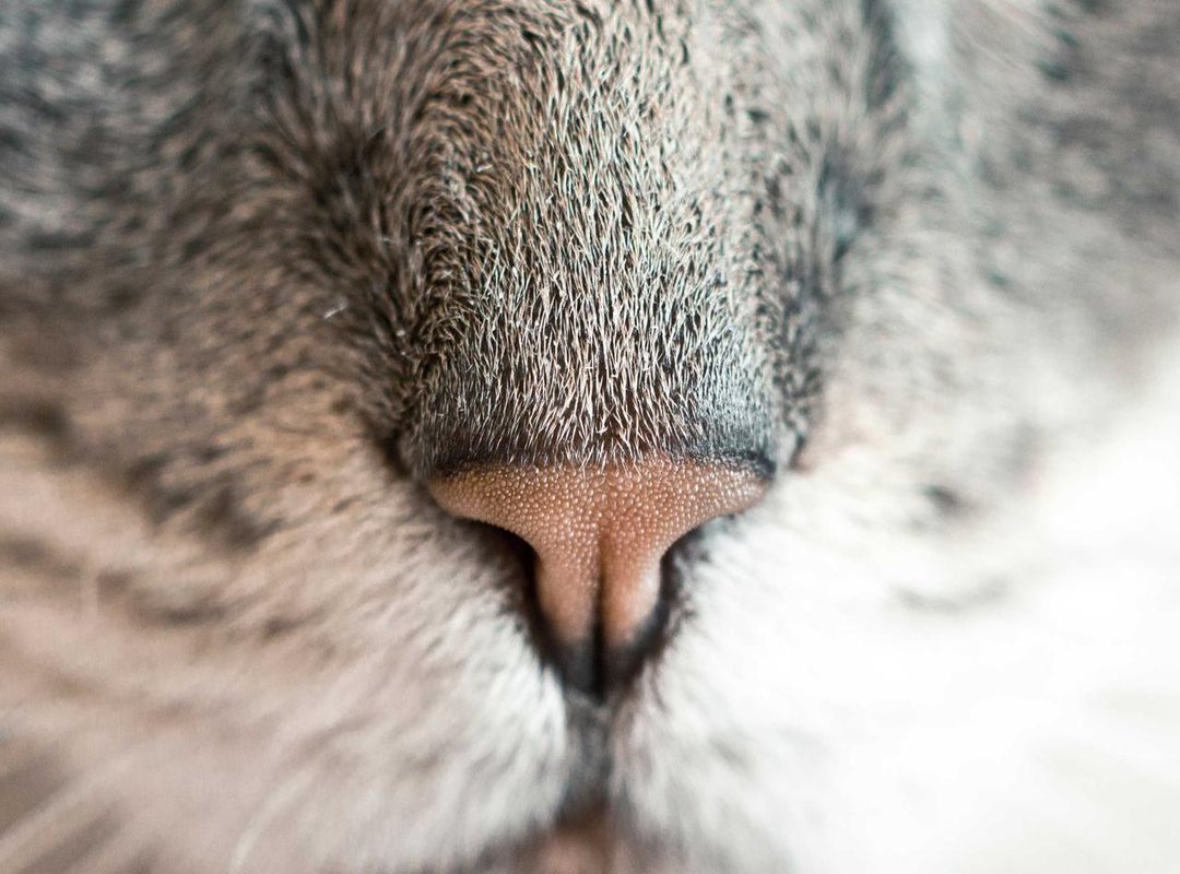 Go Beyond Coloring: 4 Creative Projects for Your Finished Pages