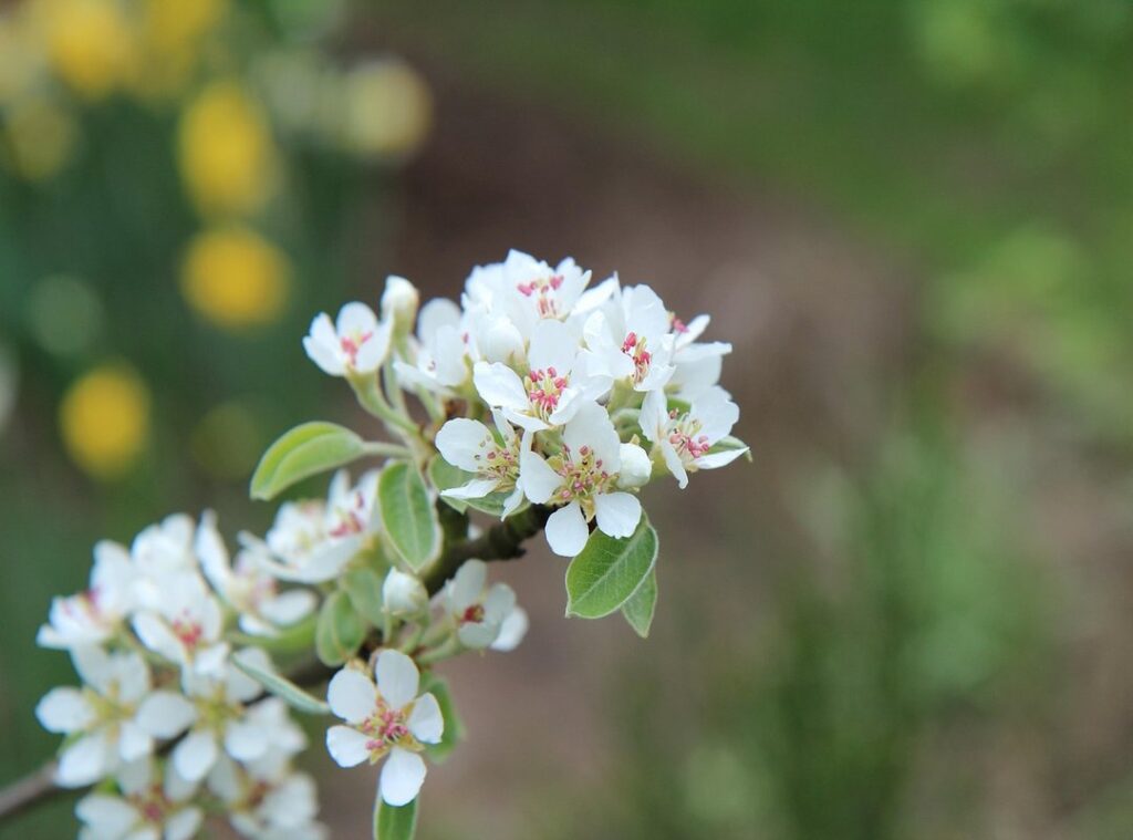 whatsapp imagenes tristes sin letras