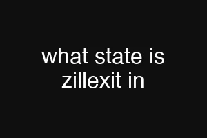 what state is zillexit in